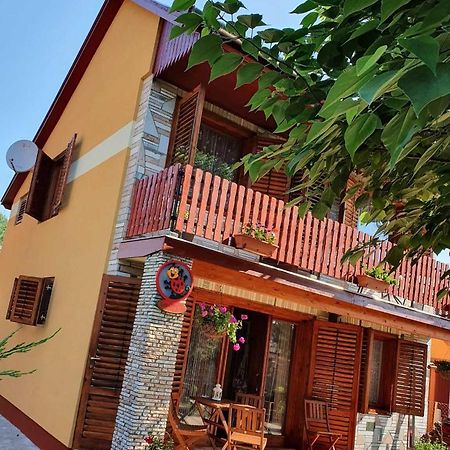 Villa Katica Nyaralo Tiszakécske Exterior foto