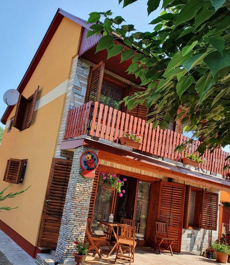 Villa Katica Nyaralo Tiszakécske Exterior foto